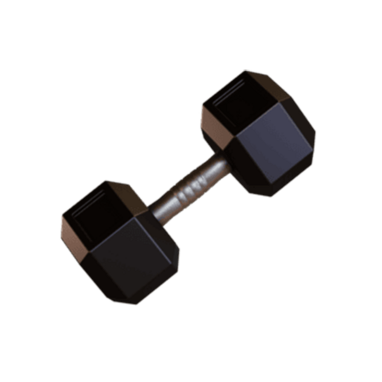 Fitness Equipment